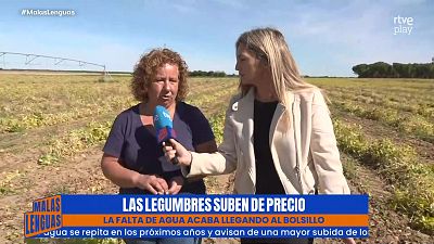 Las legumbres se disparan un 16% y también aprietan el bolsillo