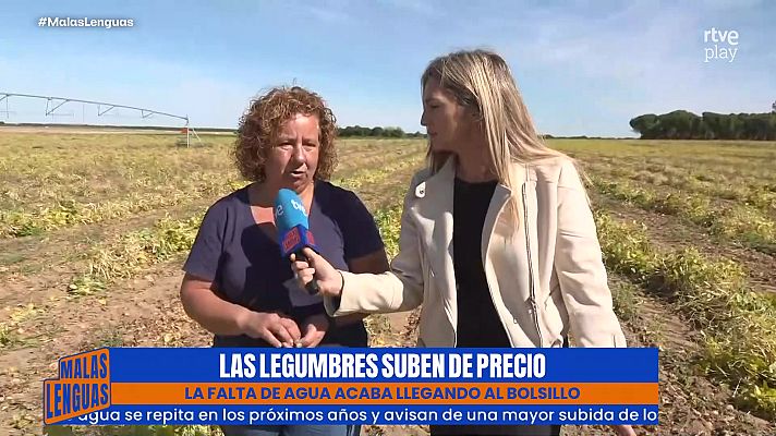 Malas lenguas - Las legumbres se disparan un 16% y también aprietan el bolsillo
