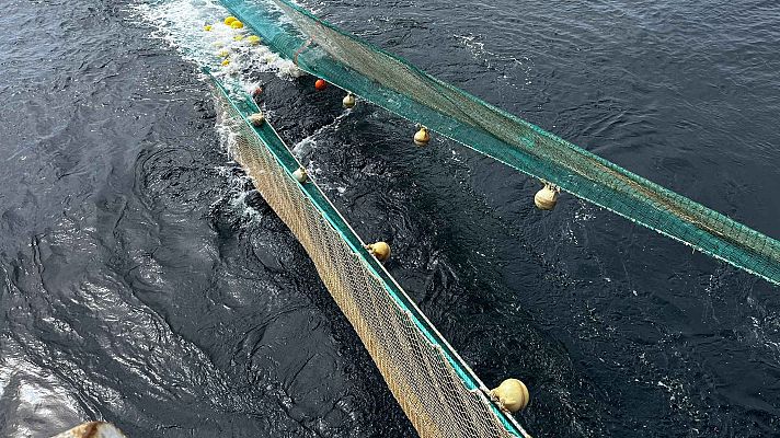 Noticias Murcia - El precio del gasoil complica la rentabilidad de la flota pesquera