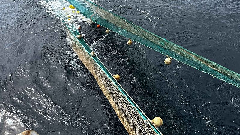 El precio del gasoil complica la rentabilidad de la flota pesquera
