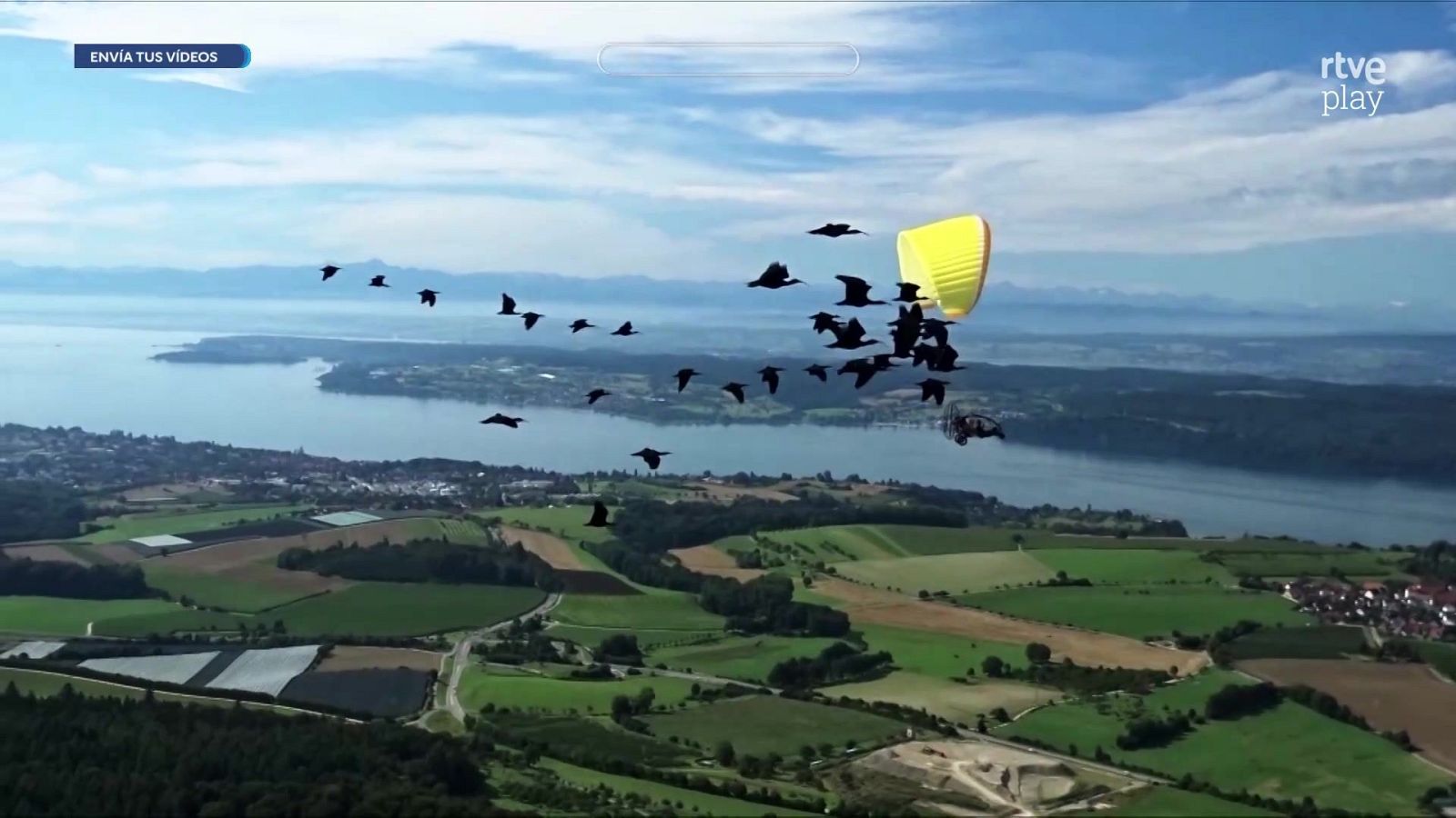 Paramotor amarillo vuela con bandada de pájaros sobre lago y campos. "ENVÍA TUS VÍDEOS" y "rtve play" superpuestos.
