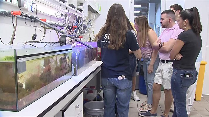 L'Informatiu - Les parts ocultes de l'Aquàrium de Barcelona