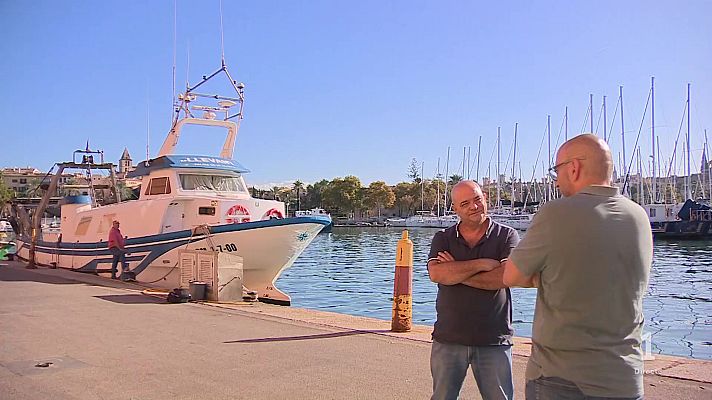 Informatiu Balear - El sector primari diu basta