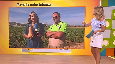 Camp català, segrest a l'AP-7 i concerts de Shakira