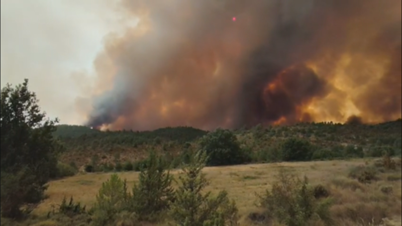 Incendio forestal masivo en colinas con densa columna de humo y llamas visibles. Vegetación seca en primer plano.