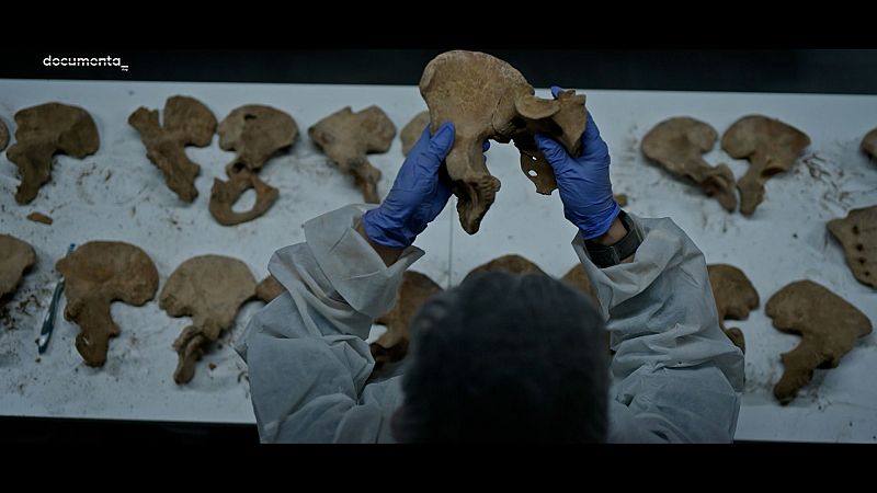 Persona con traje blanco y guantes azules analiza restos óseos pélvicos en laboratorio. Se lee "documenta_" en la imagen. Contexto: Informativo 24h, equipo forense analiza restos de Cuelgamuros.