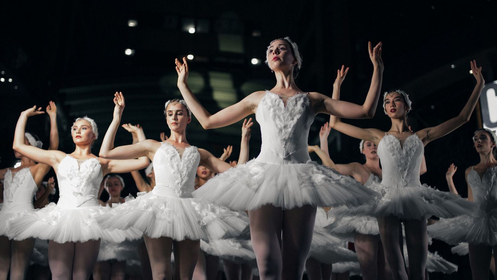 Página Dos - El Ballet Nacional elige sus lecturas favoritas