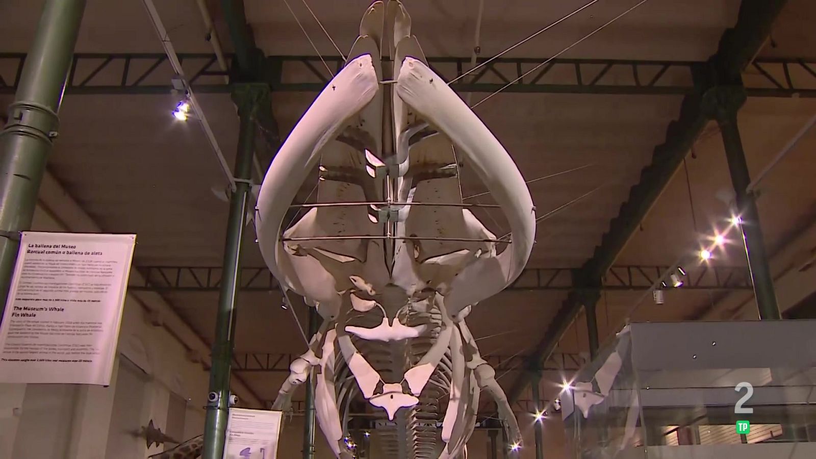 Museo Nacional de Ciencias Naturales