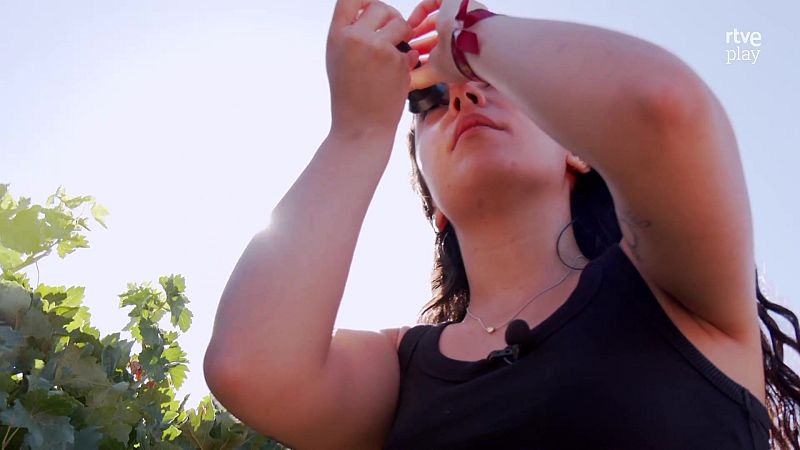 Joven en viñedo, con micrófono y logo de rtve play. Día soleado.