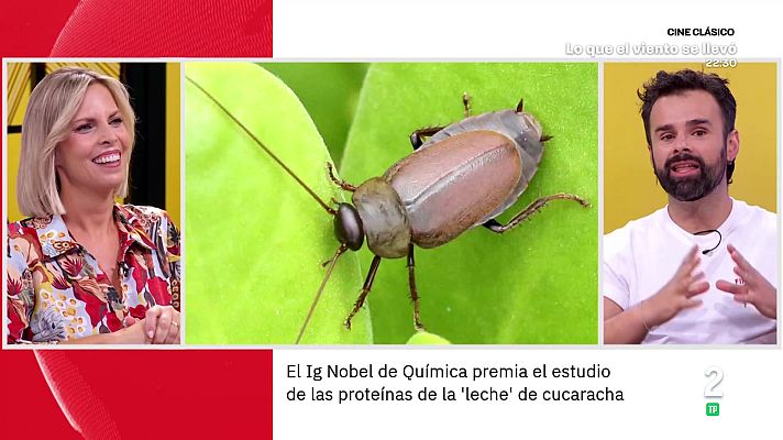 La aventura del Saber - Ricardo Moure. Los Ig Nobel