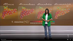 M�s aviat estiu�s... que estiuet de Sant Miquel