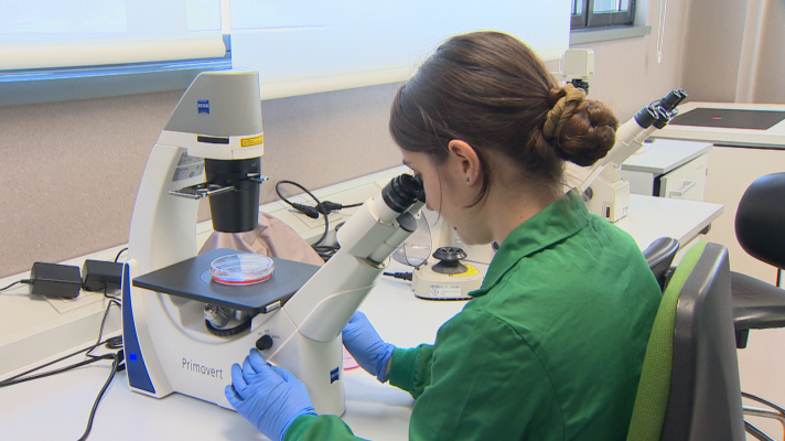 TeleCantabria - Día Mundial Investigación en Cáncer