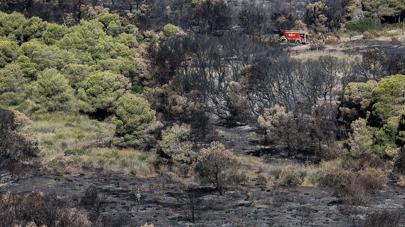 Incendio forestal: áreas verdes intactas contrastan con terreno calcinado. Bomberos y camión rojo en acción. Persona evalúa daños.