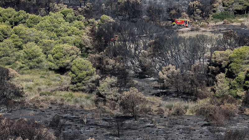 Incendio forestal: áreas verdes intactas contrastan con terreno calcinado. Bomberos y camión rojo en acción. Persona evalúa daños.