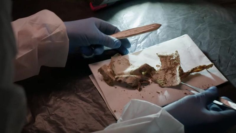 Entrevista a Francisco Etxeberria, antropólogo forense de los trabajos que se están llevando a cabo en las exhumaciones de Cuelgamuros.