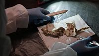 Entrevista a Francisco Etxeberria, antrop�logo forense de las exhumaciones en Cuelgamuros