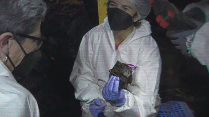 RTVE Noticias Vídeo - Los forenses en Cuelgamuros encuentran la chapa que identifica a Casimiro