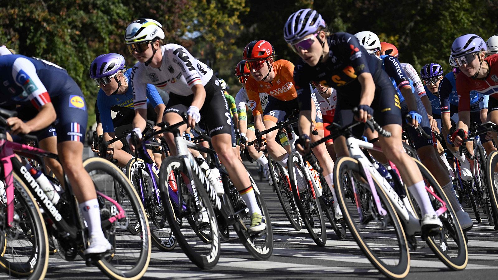 Ciclistas en acción con maillots de "CASTELLI" y "Lidl", bicicletas "CANNONDALE" y cascos de colores, pedaleando en grupo por una carretera rodeada de árboles.