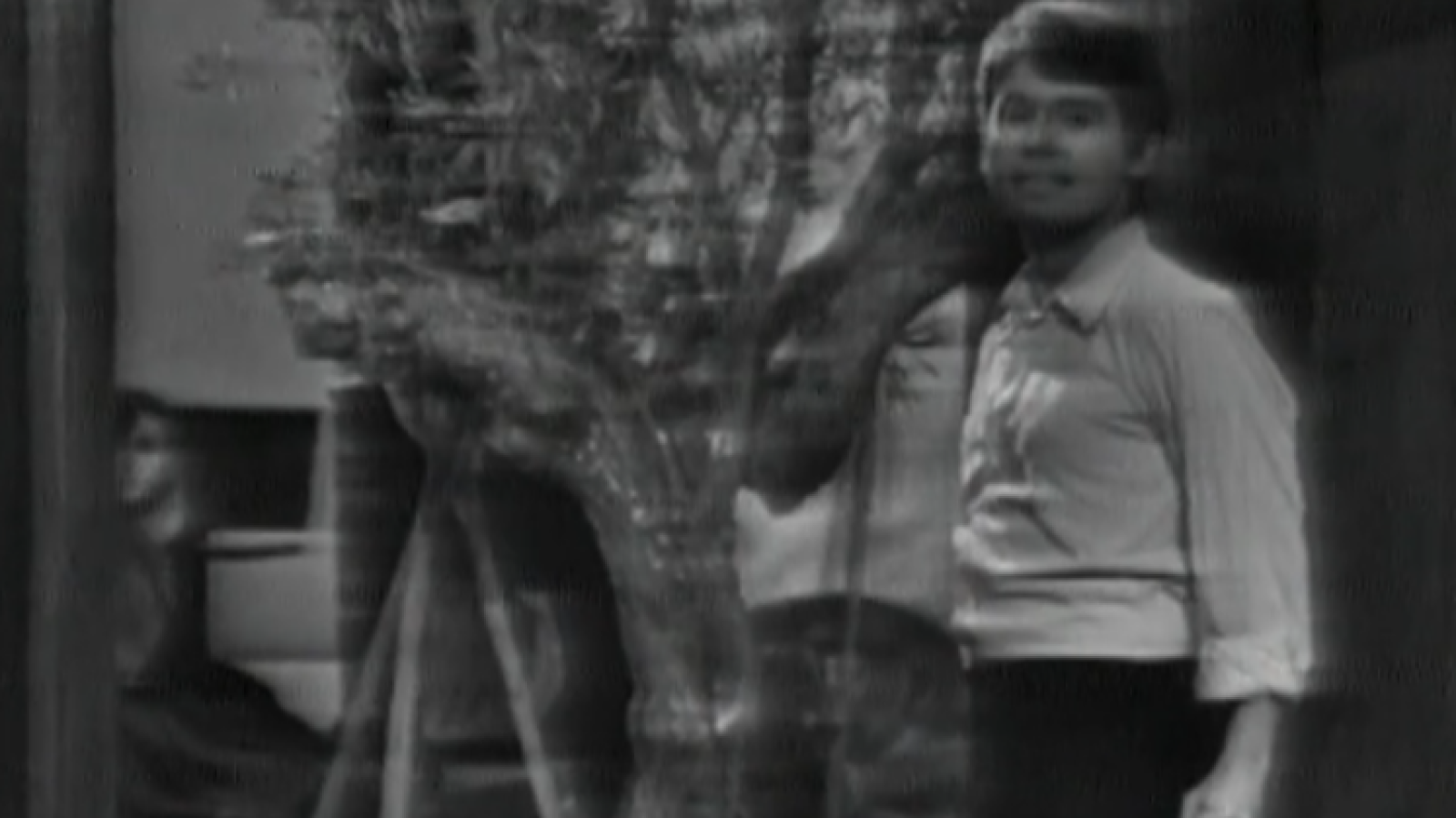Raphael canta "La canción del tamborilero" (1965)