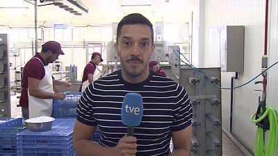 AQUÍ HAY TRABAJO (580) - Quién está detrás del mejor queso de España 2026