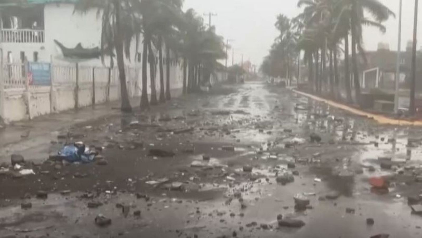 Calle devastada con escombros, barro y agua. Palmeras agitadas y edificaciones afectadas bajo un cielo nublado.