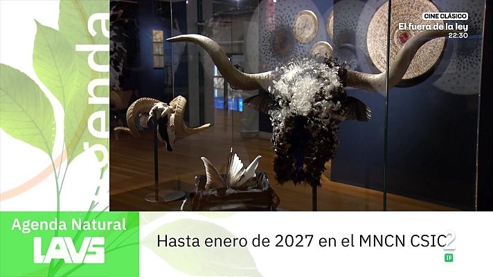 La aventura del Saber - Agenda natural
