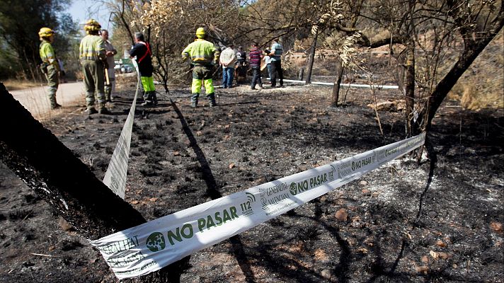 L'informatiu - Comunitat Valenciana - Continua la investigació de l'incendi de la Vall d'Uixó, però encara no s'ha trobat a l'autor