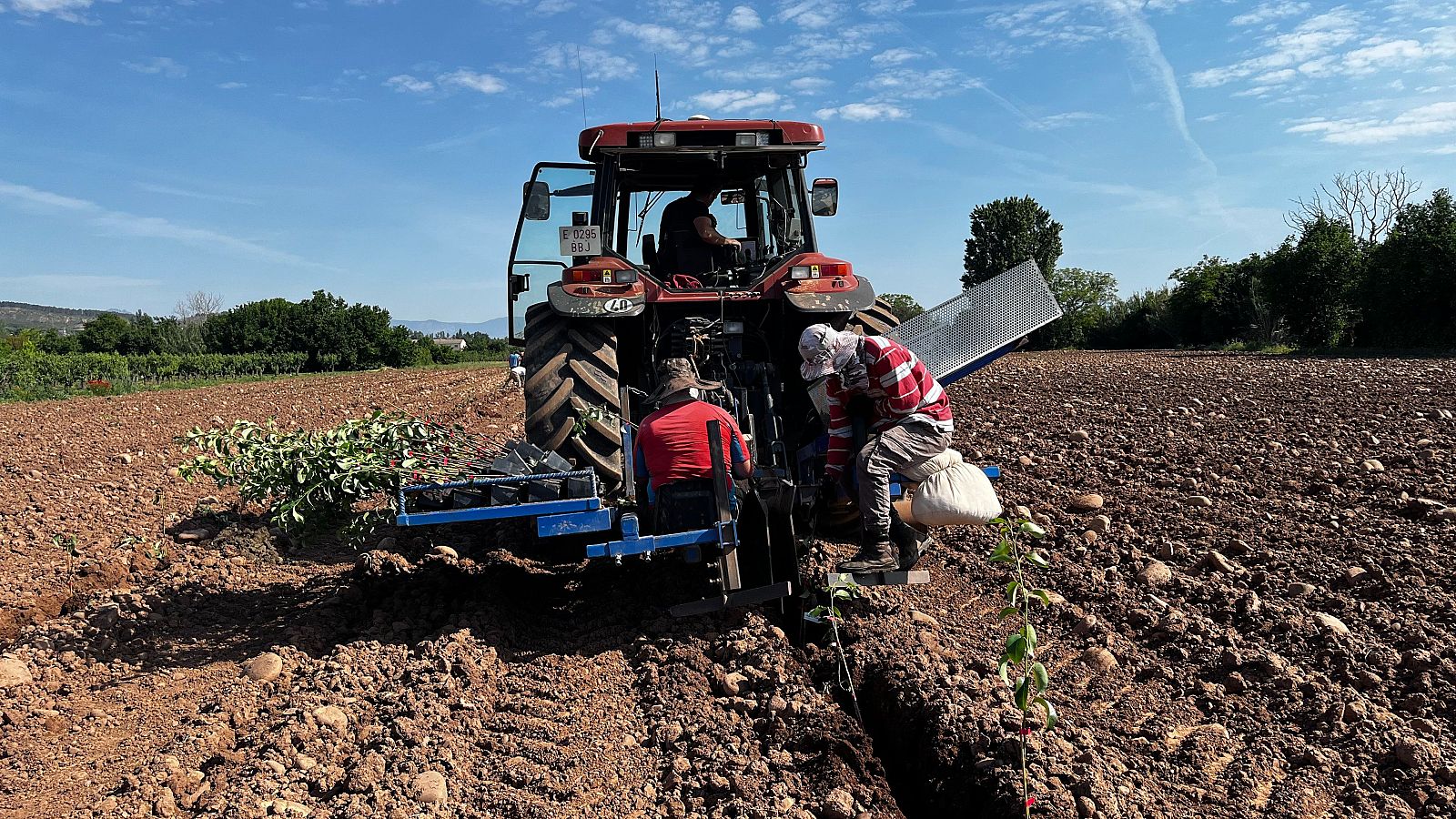 Los agricultores de la Región reclaman apoyo al sector