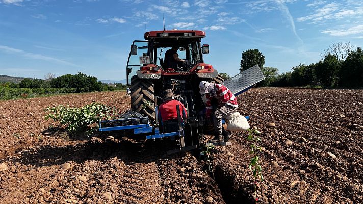 Noticias Murcia - Los agricultores de la Región anuncian movilizaciones por los aumentos de costes
