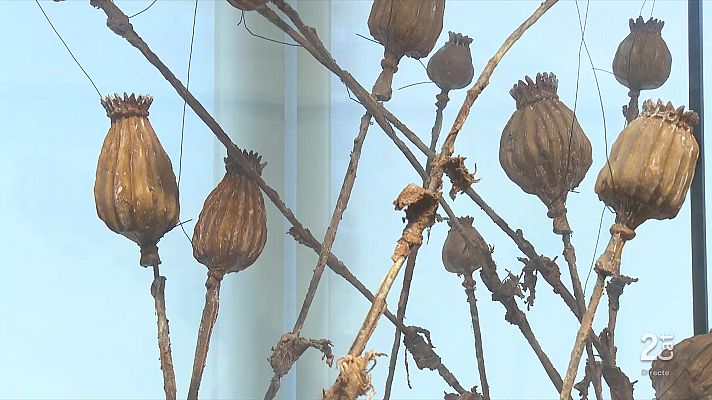 L'Informatiu - La Pedrera repassa l'univers d'Anselm Kiefer en una gran exposició