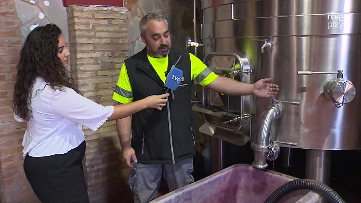 Aquí hay trabajo - Después de la vendimia... ¿Qué trabajos hay en bodega?