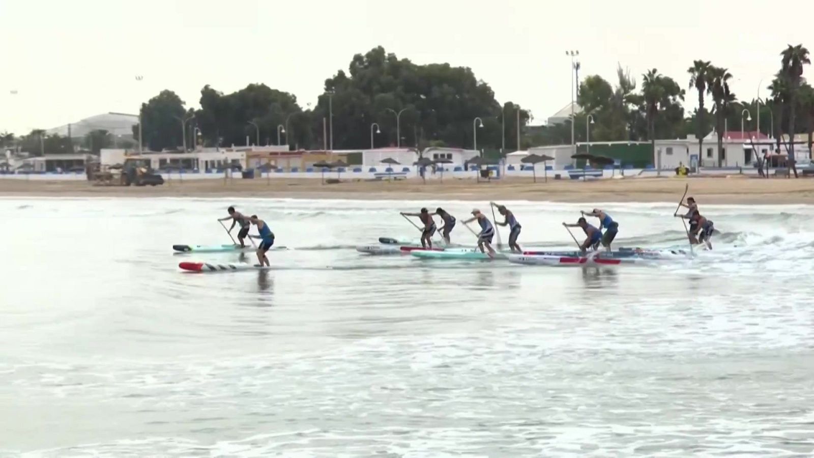 Competidores de paddle surf reman de pie sobre sus tablas en el mar, con una playa y edificios al fondo.