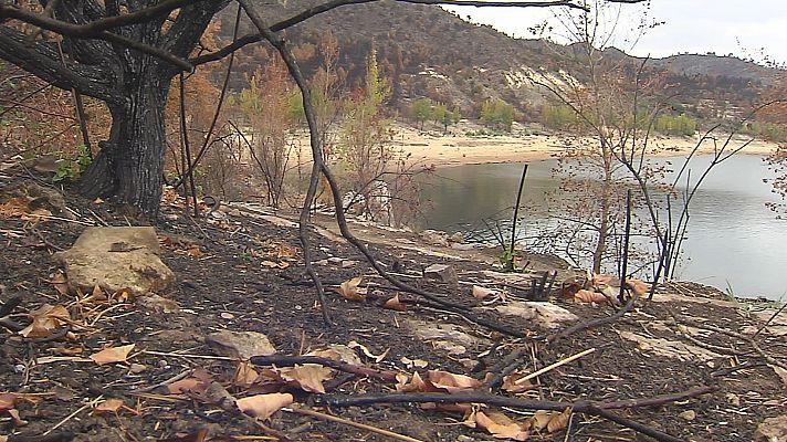 Noticias de Castilla-La Mancha - Cómo evitar que la lluvia arrastre ceniza a los embalses