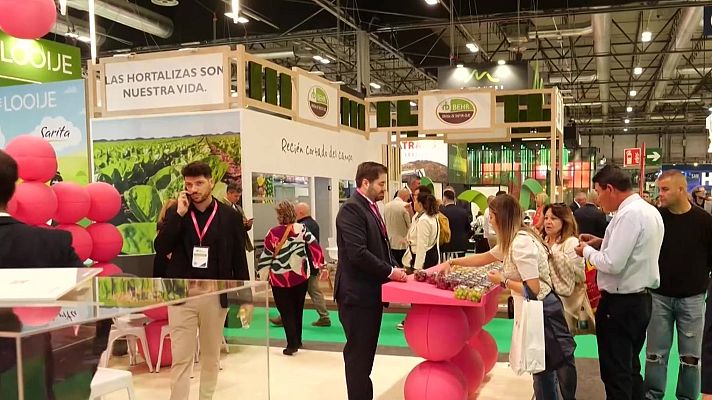 Noticias Murcia - Las frutas y hortalizas murcianas buscan nuevos mercados en Fruit Attraction
