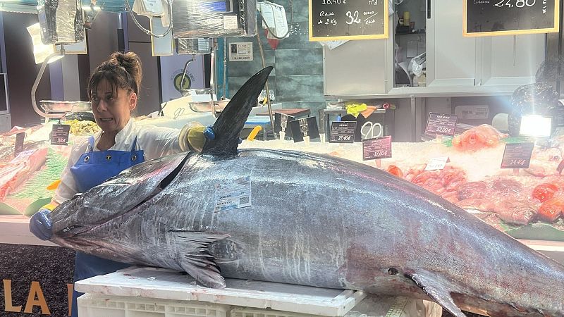Pescaderías Vicente pone a la venta en su puesto de la Plaza de Abastos de Avilés el atún rojo subastado en la Rula de Avilés.