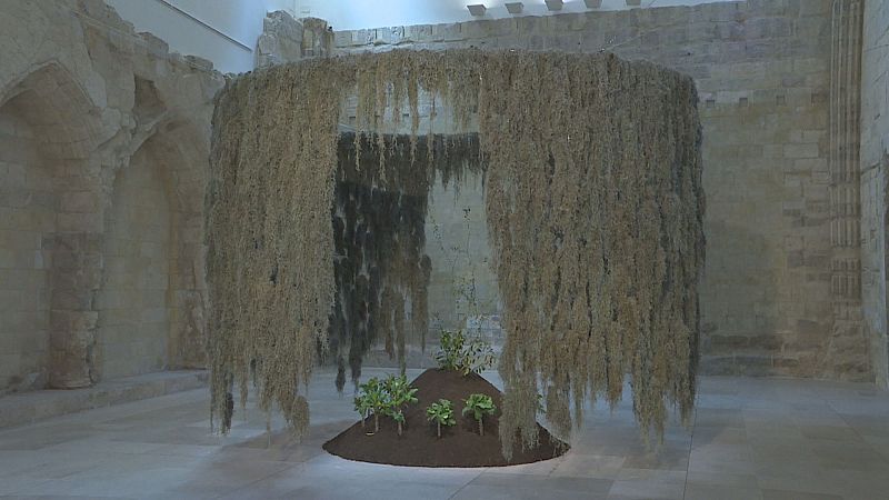 Instalación artística circular con musgo seco suspendido y un montículo central de tierra con plantas vivas en una sala de piedra gótica.