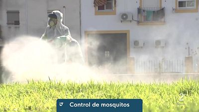 Telecanarias Tarde - 08/10/2026