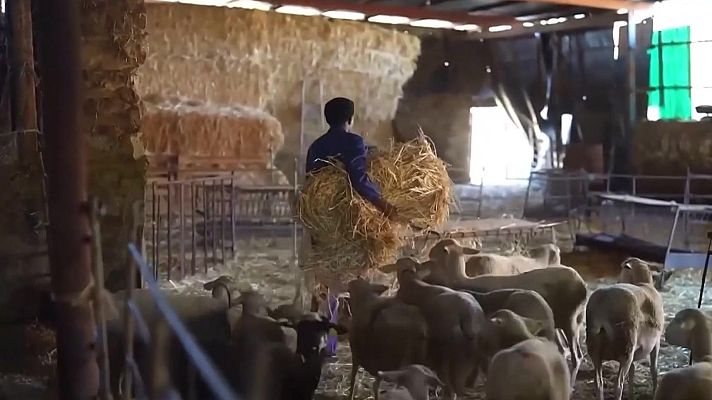 Noticias Aragón - El impacto de la inmigración en el medio rural, a debate en Binéfar