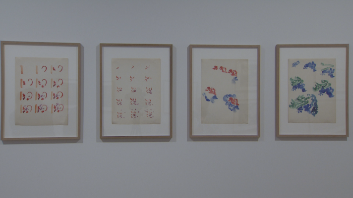 Telenorte - País Vasco - Una exposición de Ruiz Balerdi inaugura uno de los nuevos espacios del Bellas Artes de Bilbao