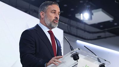 Abascal carga contra la ley de nietos y PP y Junts critican el uso del Gobierno de la Diputación Permanente del Congreso