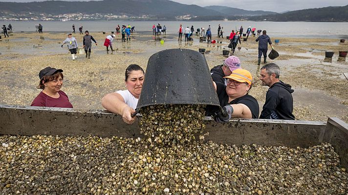 Telediario Fin de Semana - El sector del marisco en Galicia atraviesa su peor crisis histórica