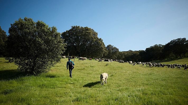 Telediario Fin de Semana - Jóvenes ganaderos y agricultores hacen su 'Erasmus rural' por España: "Un intercambio de conocimientos muy enriquecedor"