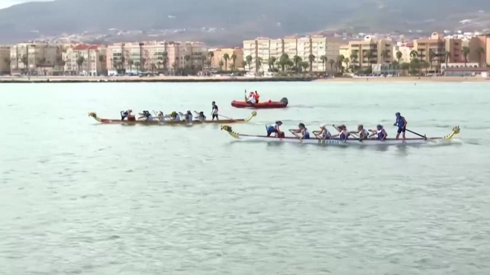 Dos embarcaciones de barco dragón compiten en aguas tranquilas junto a una lancha de asistencia, con la costa urbana al fondo.