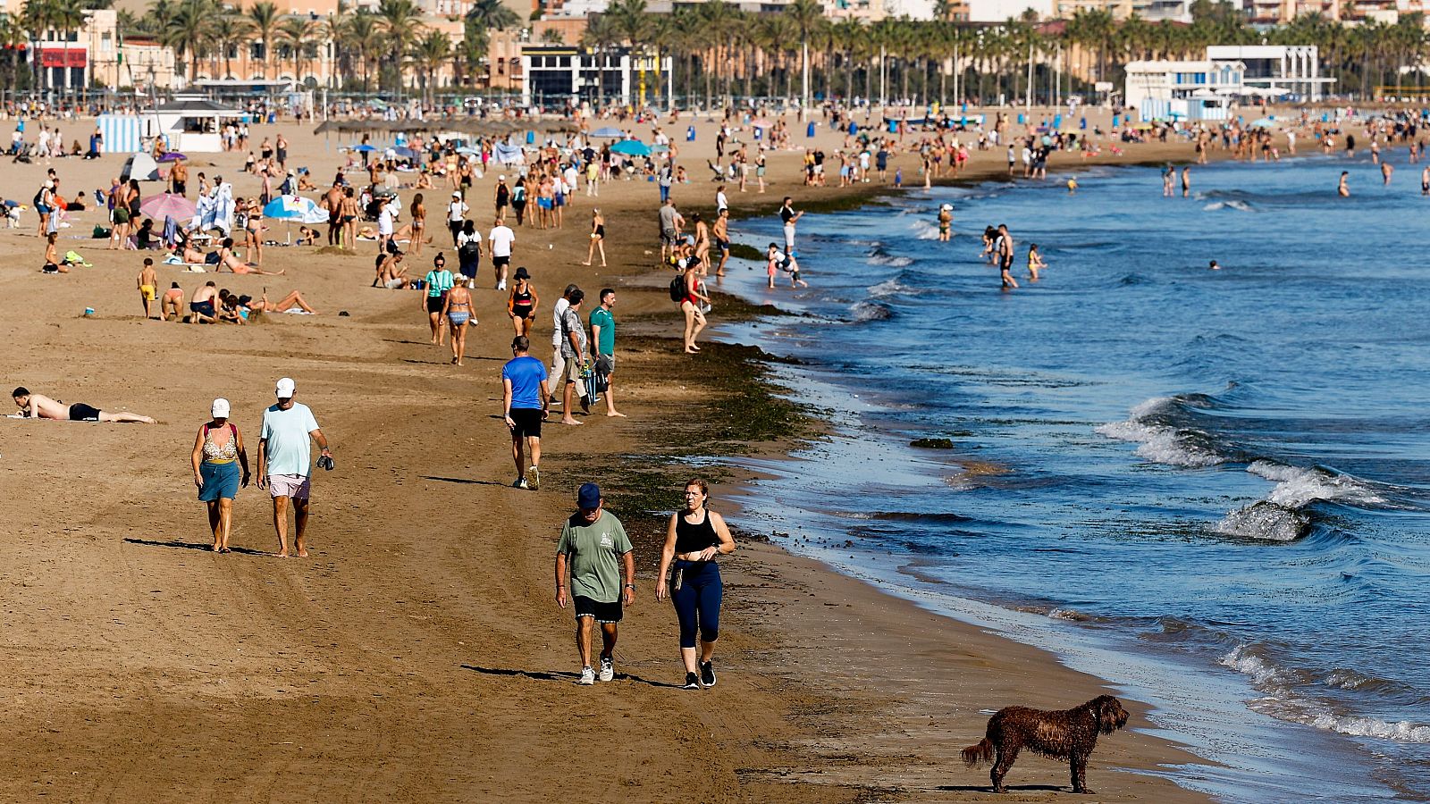 Vista de la gente en la playa en Valencia