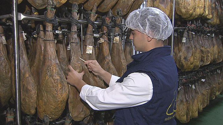 Noticias de Castilla y León - El mejor jamón iberico de bellota se produce en Guijuelo