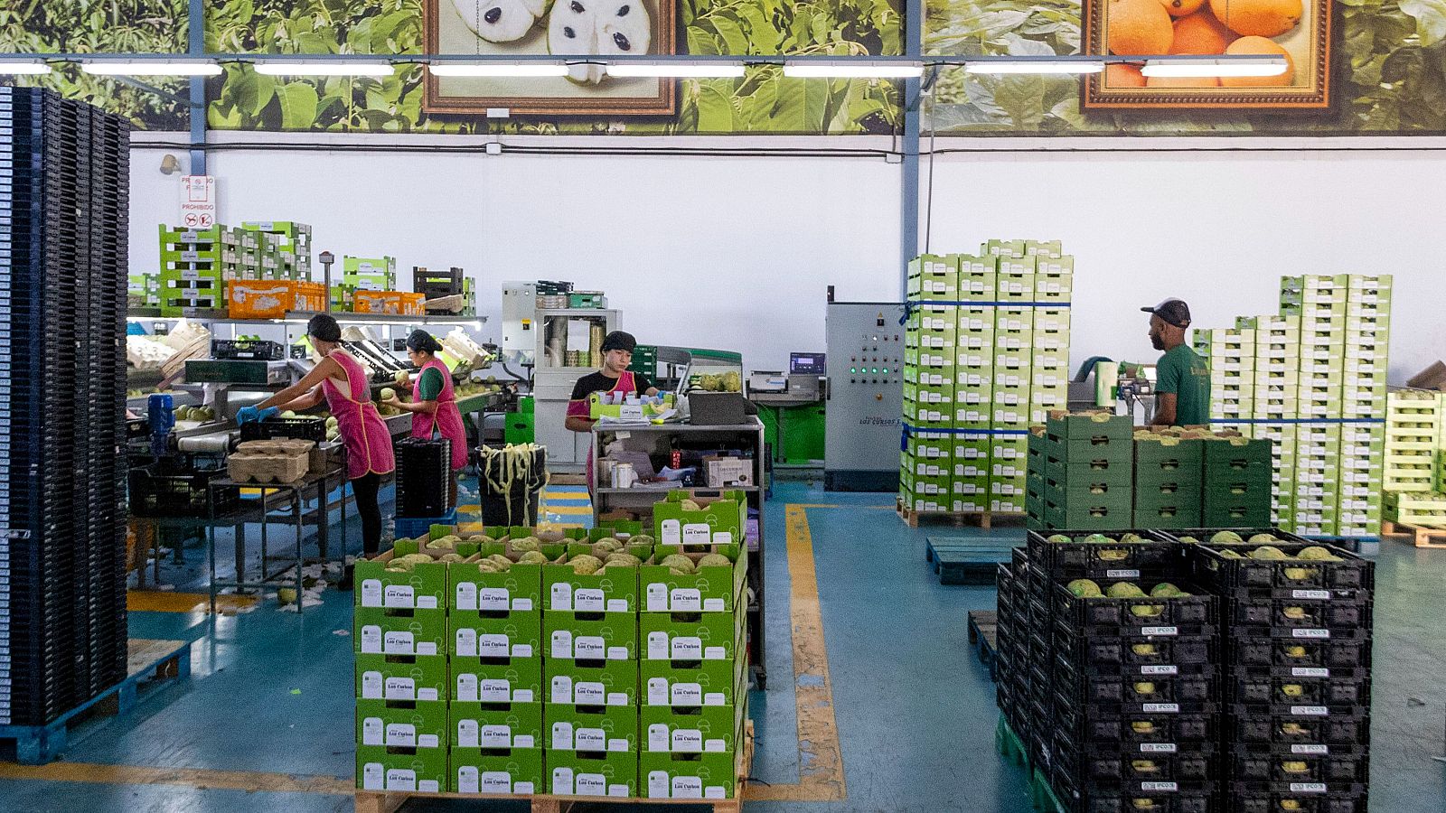 Alrededor de 40.000 personas no acuden cada día a su puesto de trabajo en la Región