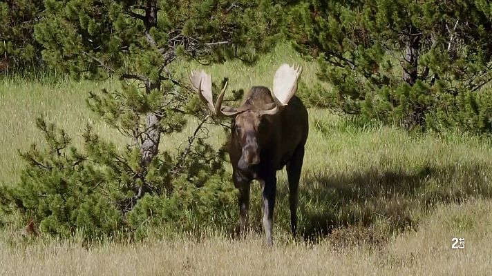 Som Documentals - Un any de natura al Canadà: Tardor