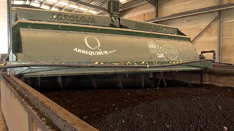 Máquina removedora verde procesando alperujo en una almazara, con los textos 'ARBEQUISUR S.C.A.' y 'AGROLOJA' visibles en su cubierta.