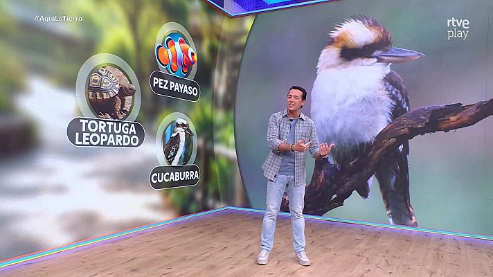 Aquí la Tierra - Aquí la Tierra - 14/10/26