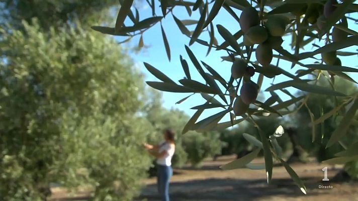 Noticias Andalucía - Día de la Mujer Rural en Andalucía: las jóvenes reivindican su presencia en el campo